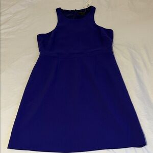 J. Crew Vibrant Blue Mini Dress